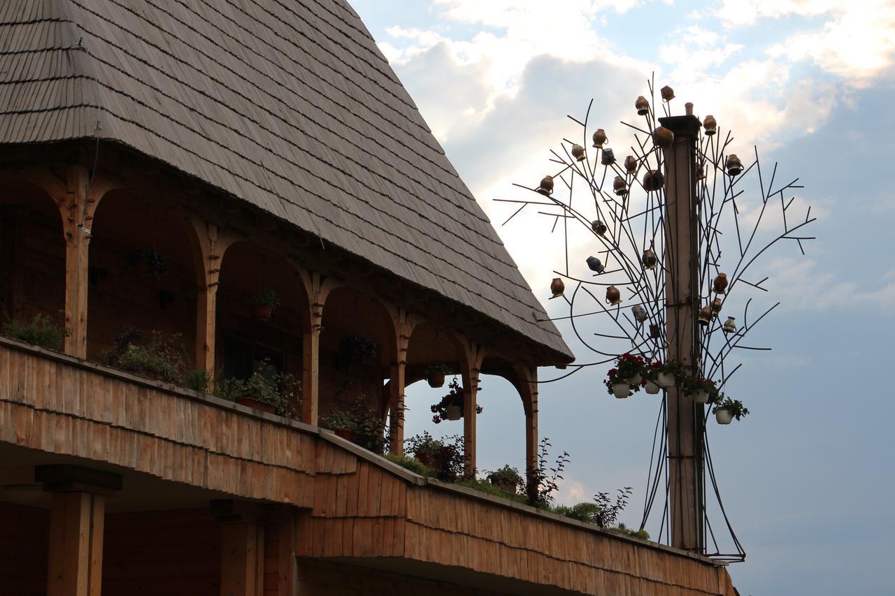 Отель Casa Ralucai Мойсей Экстерьер фото